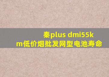 秦plus dmi55km(低价烟批发网)型电池寿命